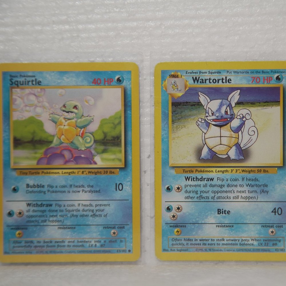 Squirtle & Wartortle Series
